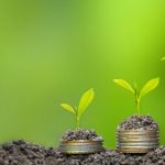 Experts seek local solution as Zimbabwe gobbles US$2 billion on food imports amid uncertain international market