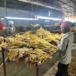 Zim in US$90 million Surplus for November 2025