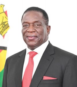 ASM Leaders Back Mnangagwa’s Mining Pledge, Demand Action on the Ground