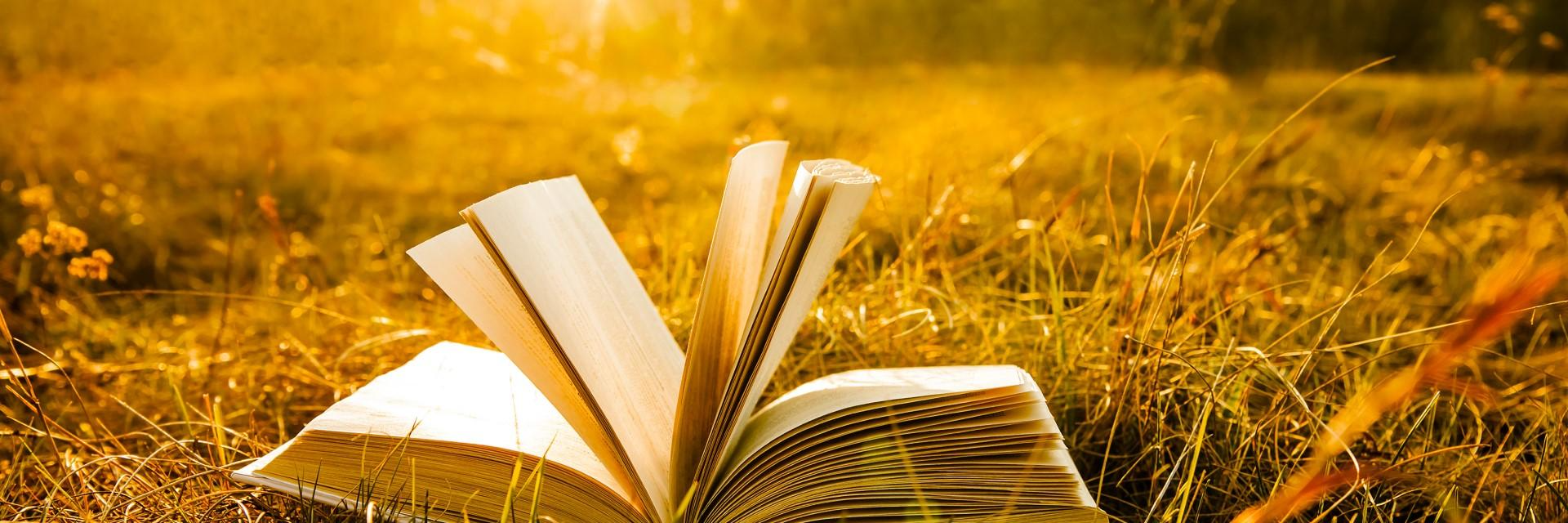 Deadline for African Land policy Short Story Call Extended