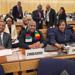 Zim Pledges Commitment to Sustainable Maritime Development at IMO Assembly
