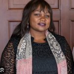 Constitutional Amendments Not Designed For Individuals : Attorney General