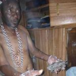 Sangoma backs Constitutional Amendment Bill Number 3