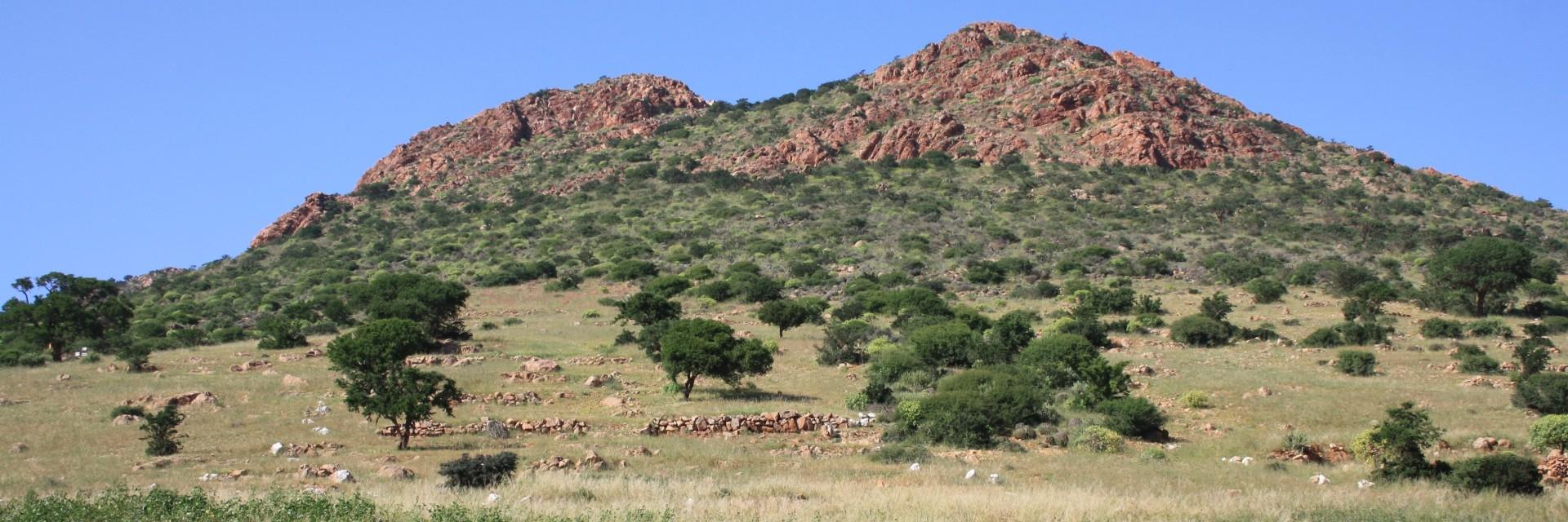 Kenya and Partners launch national effort to build climate resilience in livestock, land and insurance systems