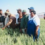 Parliament Applaudes ARDA’s Production Model’s Success in Wheat Farming