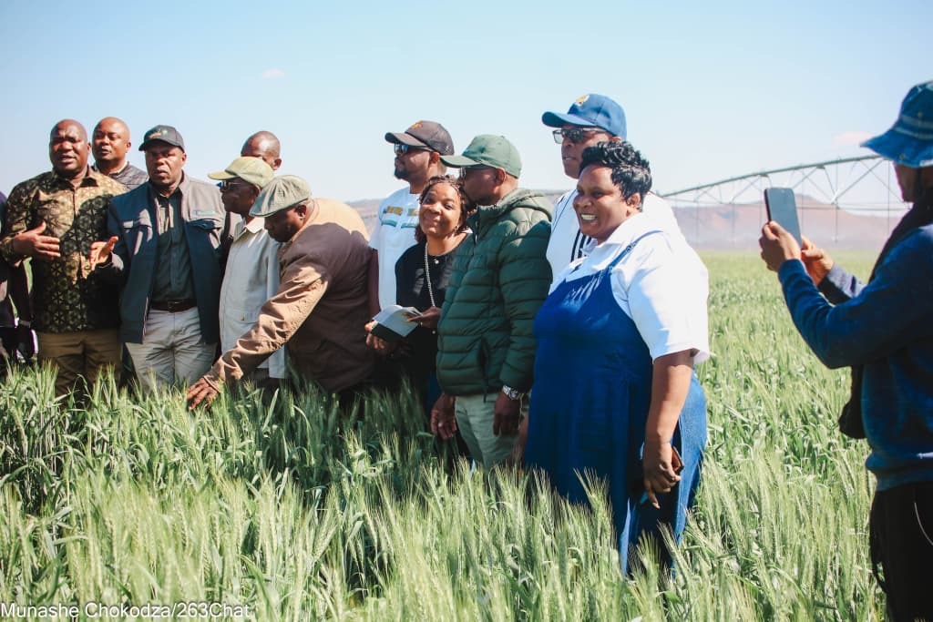 Parliament Applaudes ARDA’s Production Model’s Success in Wheat Farming