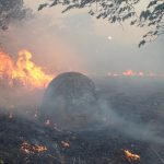 Zimbabwe Communities urged to unite against wildfires prevalence as 2026 fire season begins