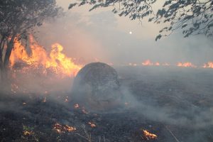 Zimbabwe Communities urged to unite against wildfires prevalence as 2026 fire season begins