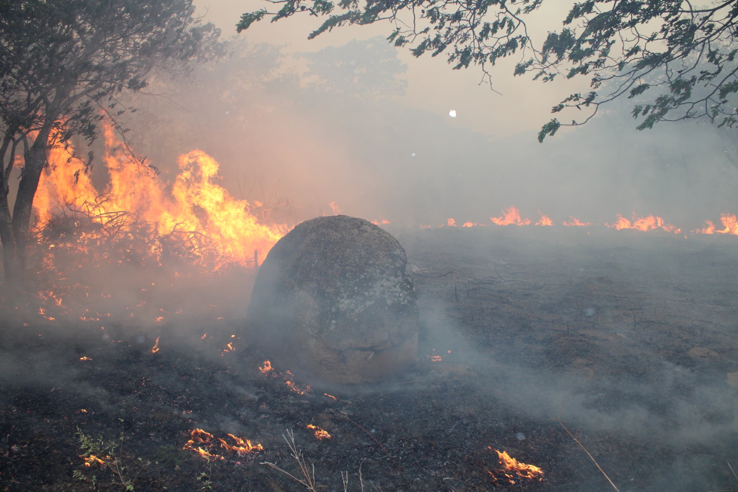 Zimbabwe Communities urged to unite against wildfires prevalence as 2026 fire season begins