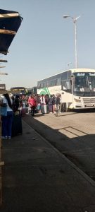 PAZ calls for review of routes to end bus conflicts