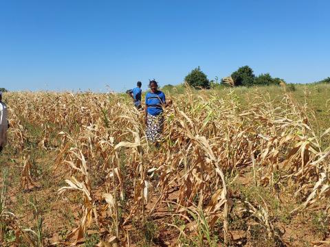 Zimbabwe’s Community Early Warning Systems Help Families Prepare for El Niño